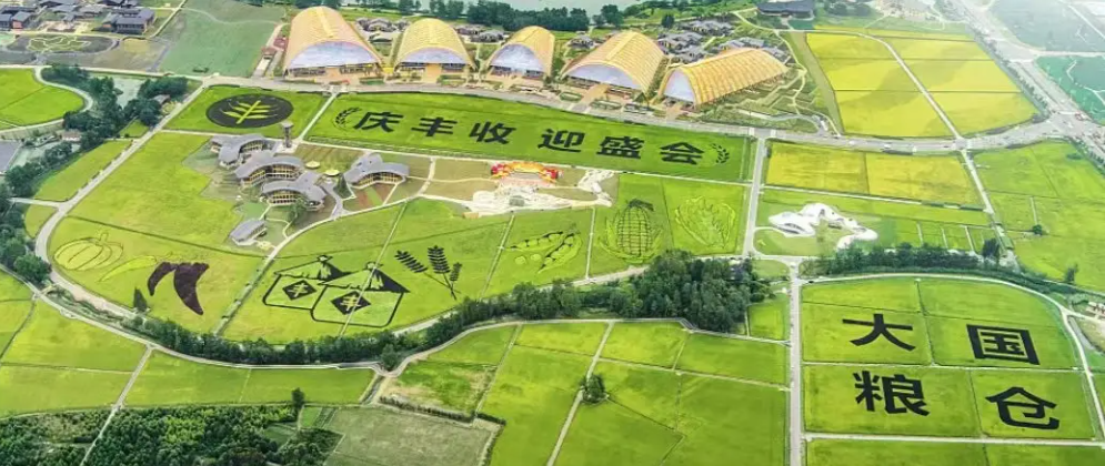 第五个中国农民丰收节|开云（中国）携农产品品质成分低场核磁快速分析仪 亮相天府农博园